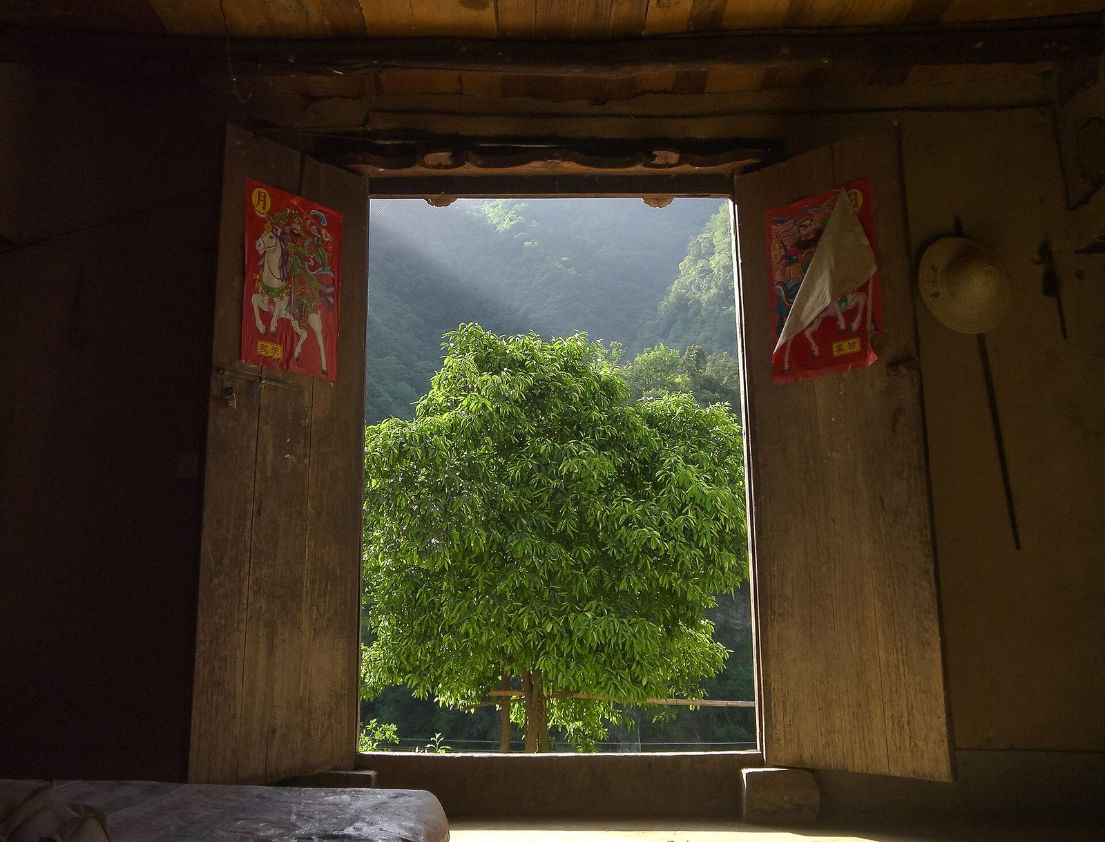 从土屋门洞望出去，晨雾中的秦岭山坡与一棵树